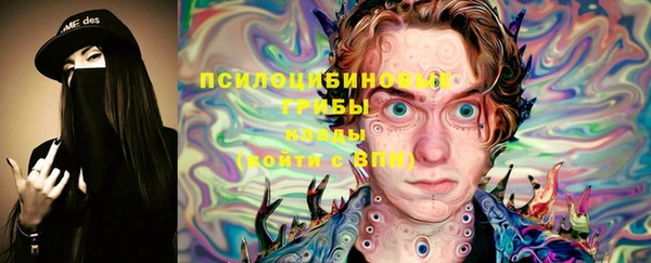 эйфоретик Алексеевка