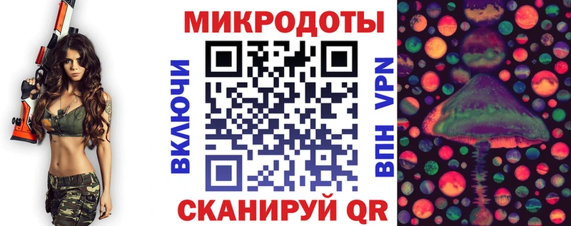 Псилоцибиновые грибы Psilocybine cubensis  Омутнинск 